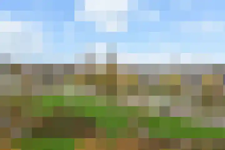 Tollenslaan 73 Waddinxveen thumbnail 37