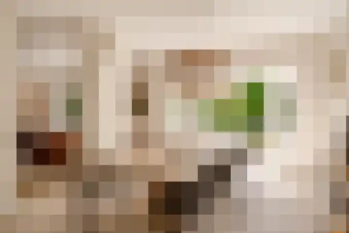 Tollenslaan 8 Aerdenhout thumbnail 14