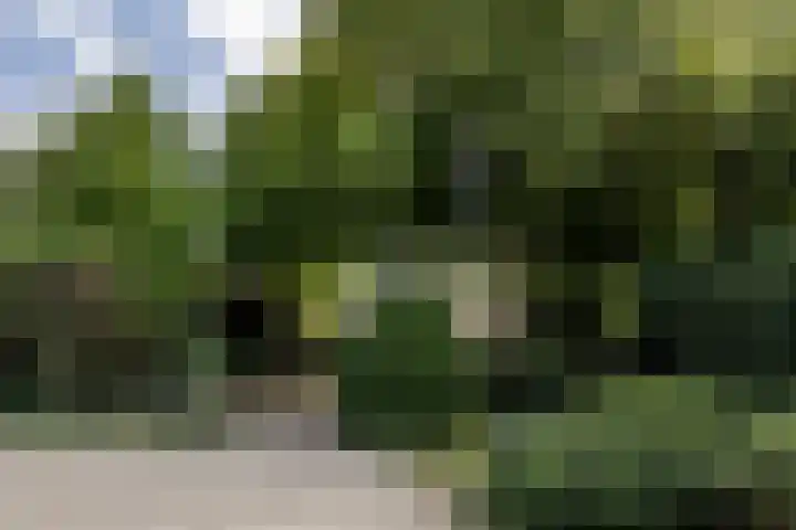 Tollenslaan 8 Aerdenhout thumbnail 24