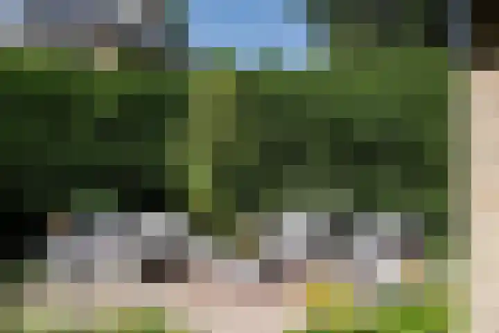 Tollenslaan 8 Aerdenhout thumbnail 37