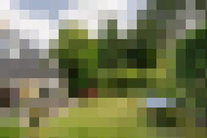 Tollenslaan 8 Aerdenhout thumbnail 39