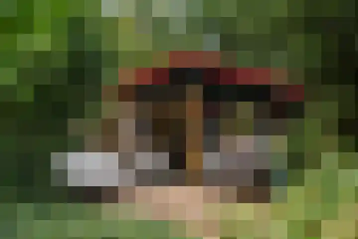 Tollenslaan 8 Aerdenhout thumbnail 41