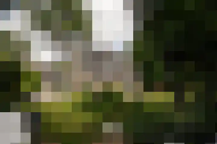 Tollenslaan 8 Aerdenhout thumbnail 43