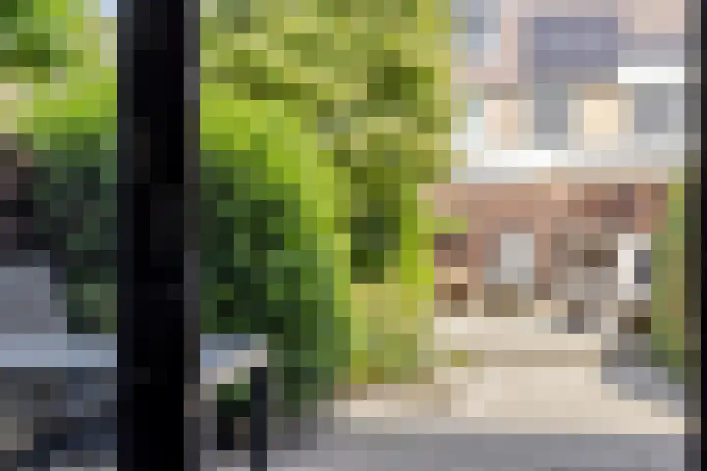 Tollenspark 15 's-Gravenzande thumbnail 10