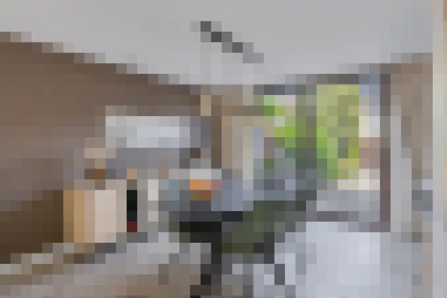Tollenspark 15 's-Gravenzande thumbnail 11