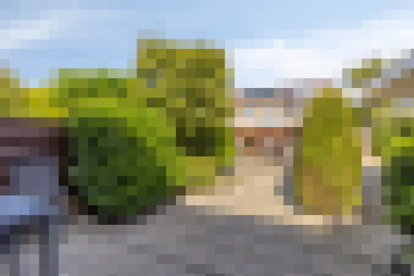 Tollenspark 15 's-Gravenzande thumbnail 37