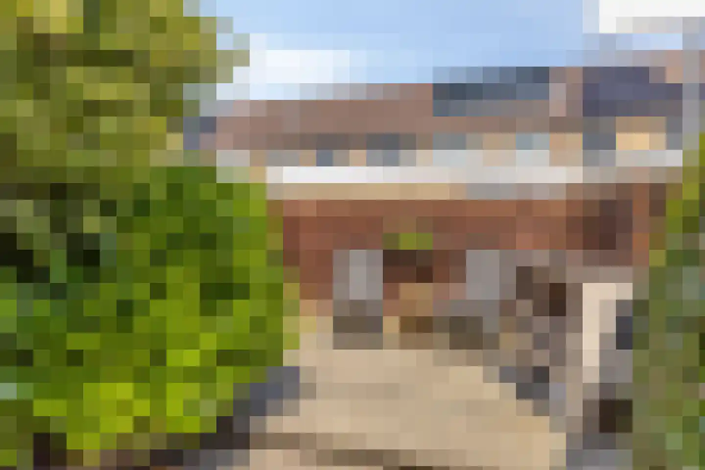 Tollenspark 15 's-Gravenzande thumbnail 38