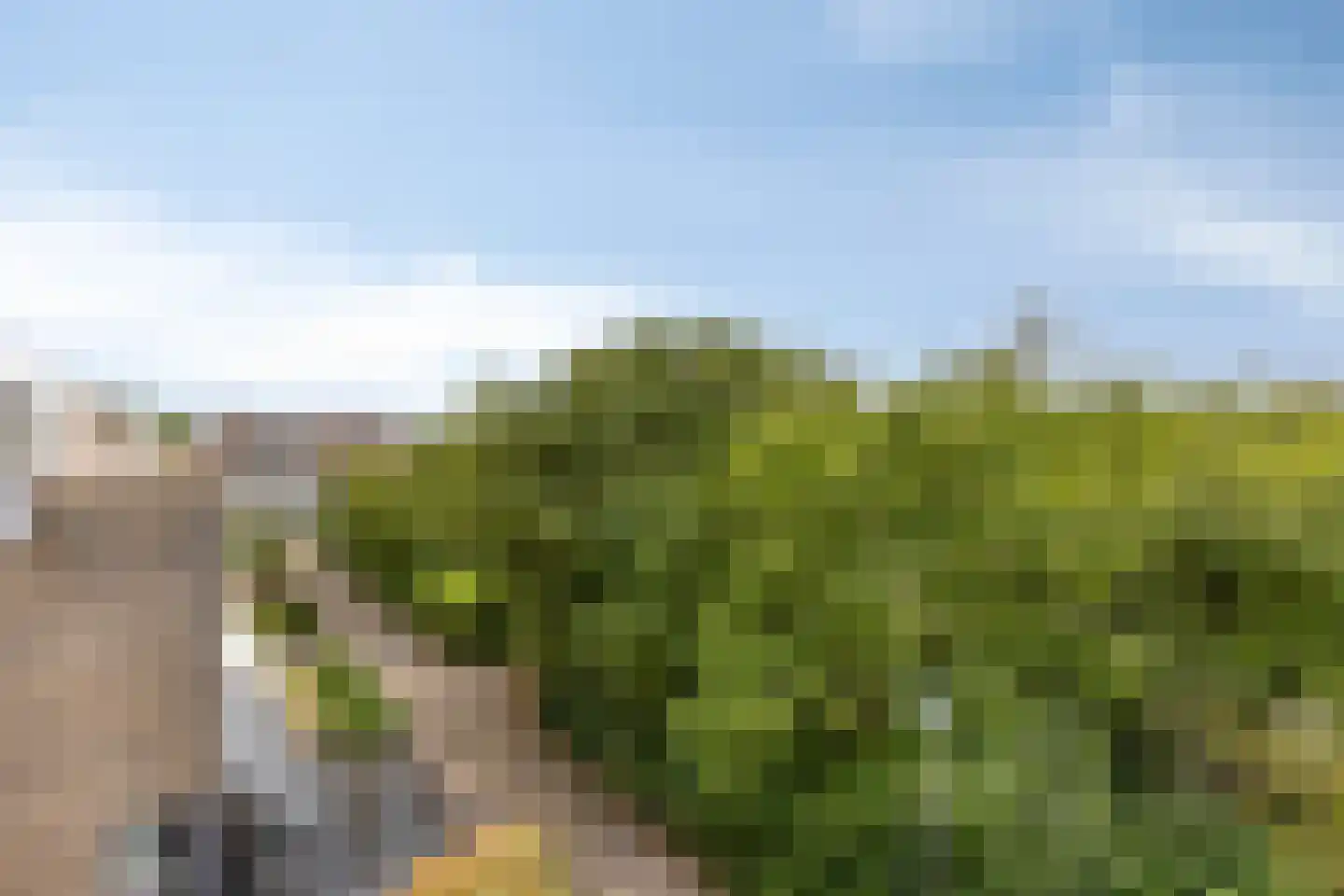 Tollenspark 15 's-Gravenzande thumbnail 41