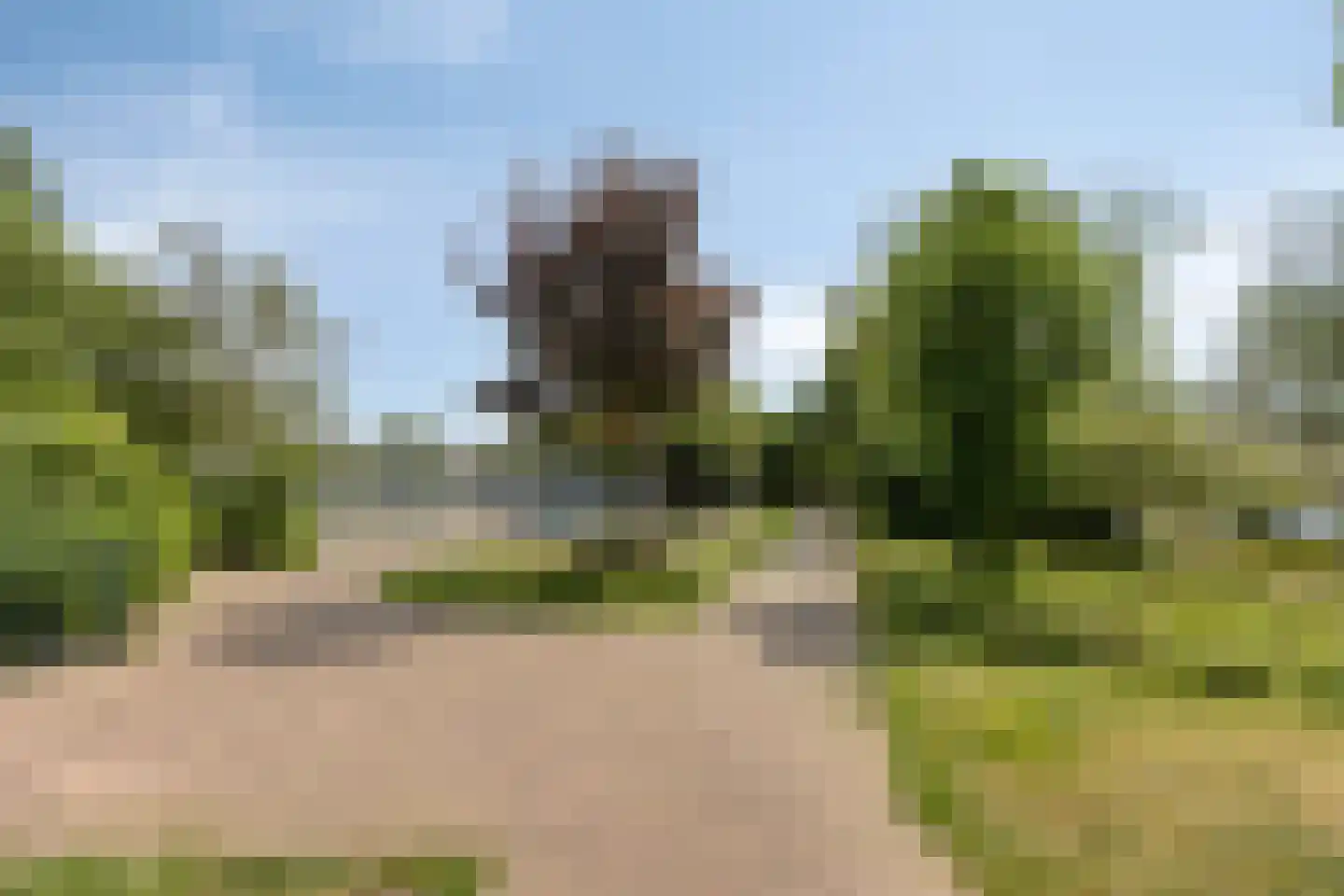 Tollenspark 15 's-Gravenzande thumbnail 42