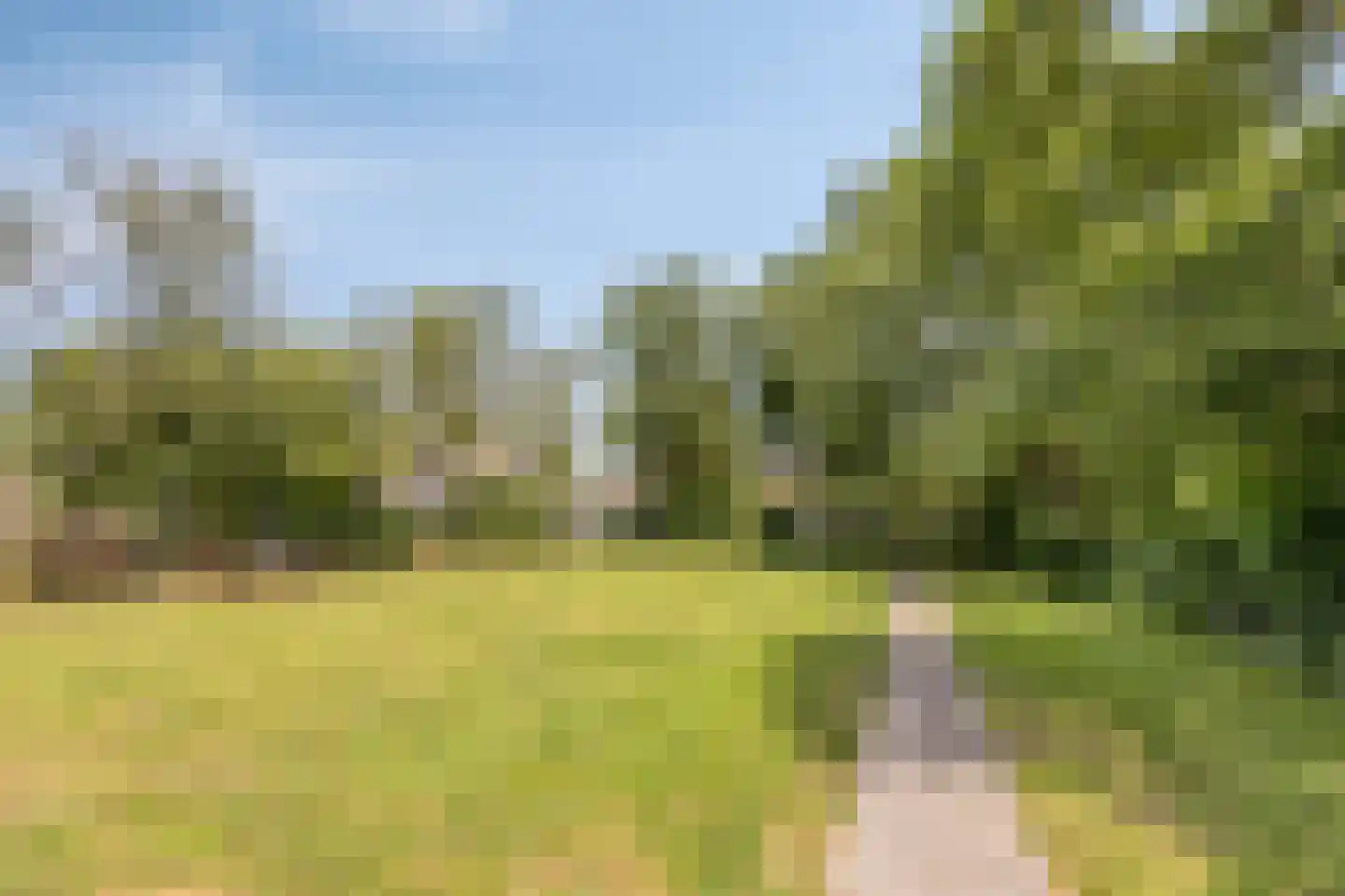 Tollenspark 15 's-Gravenzande thumbnail 43