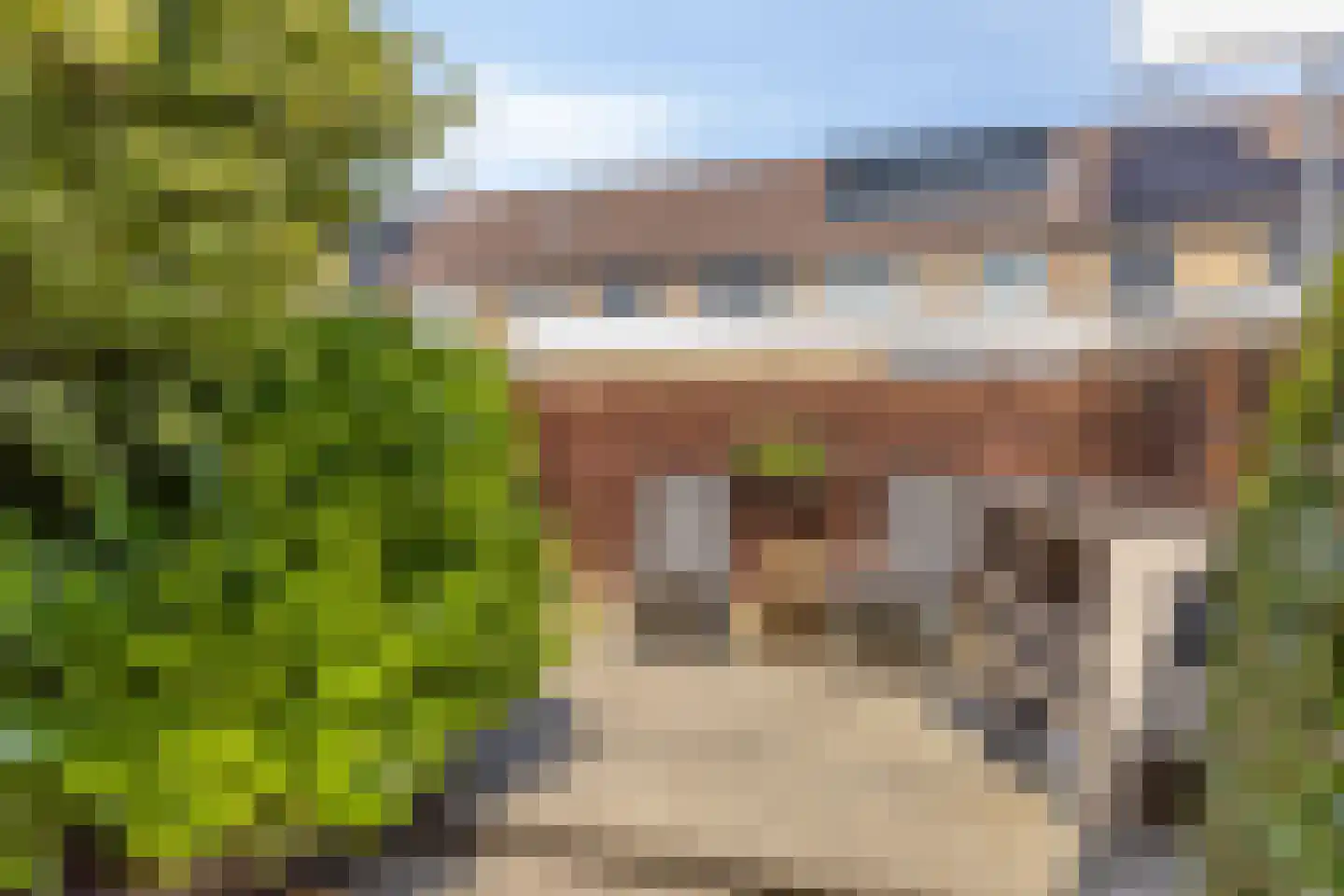 Tollenspark 15 's-Gravenzande thumbnail 44