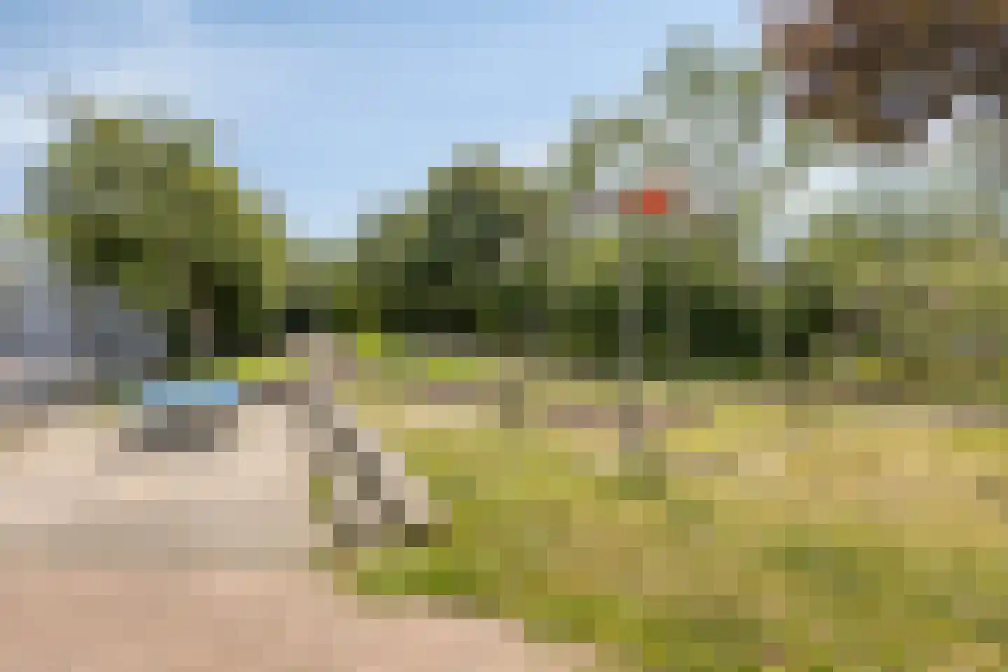 Tollenspark 15 's-Gravenzande thumbnail 44