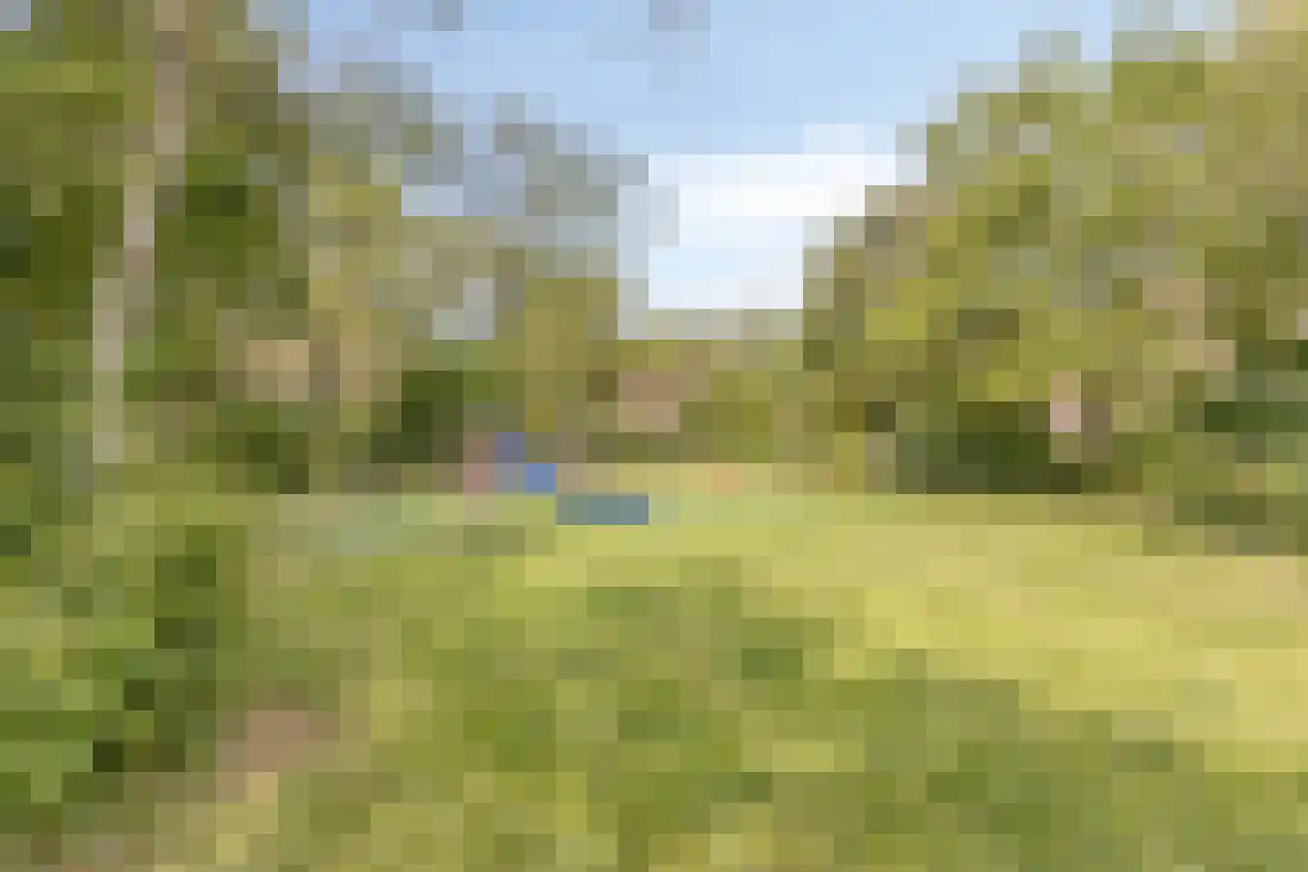 Tollenspark 15 's-Gravenzande thumbnail 46