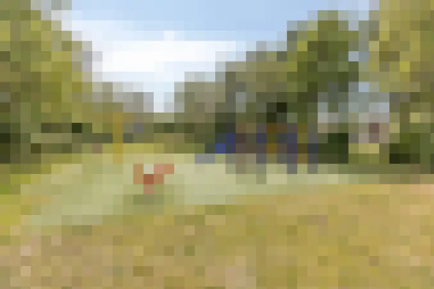 Tollenspark 15 's-Gravenzande thumbnail 47