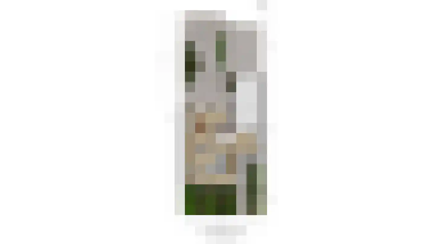 Tollenspark 15 's-Gravenzande thumbnail 51