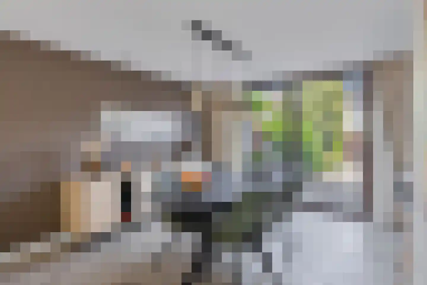 Tollenspark 15 's-Gravenzande thumbnail 9