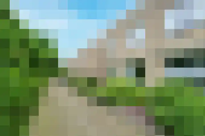 Tollenspark 21 's-Gravenzande thumbnail 27