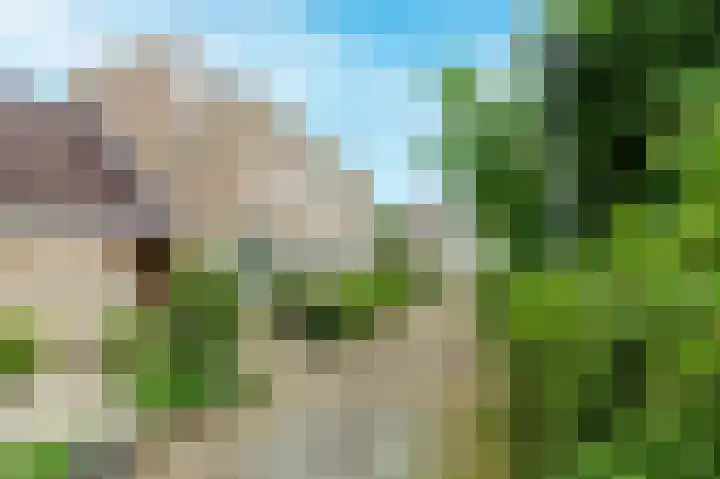 Tollenspark 21 's-Gravenzande thumbnail 28