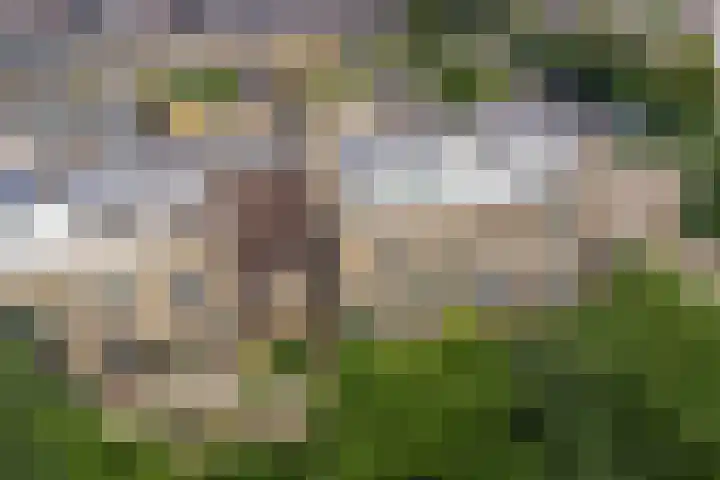 Tollenspark 21 's-Gravenzande thumbnail 29