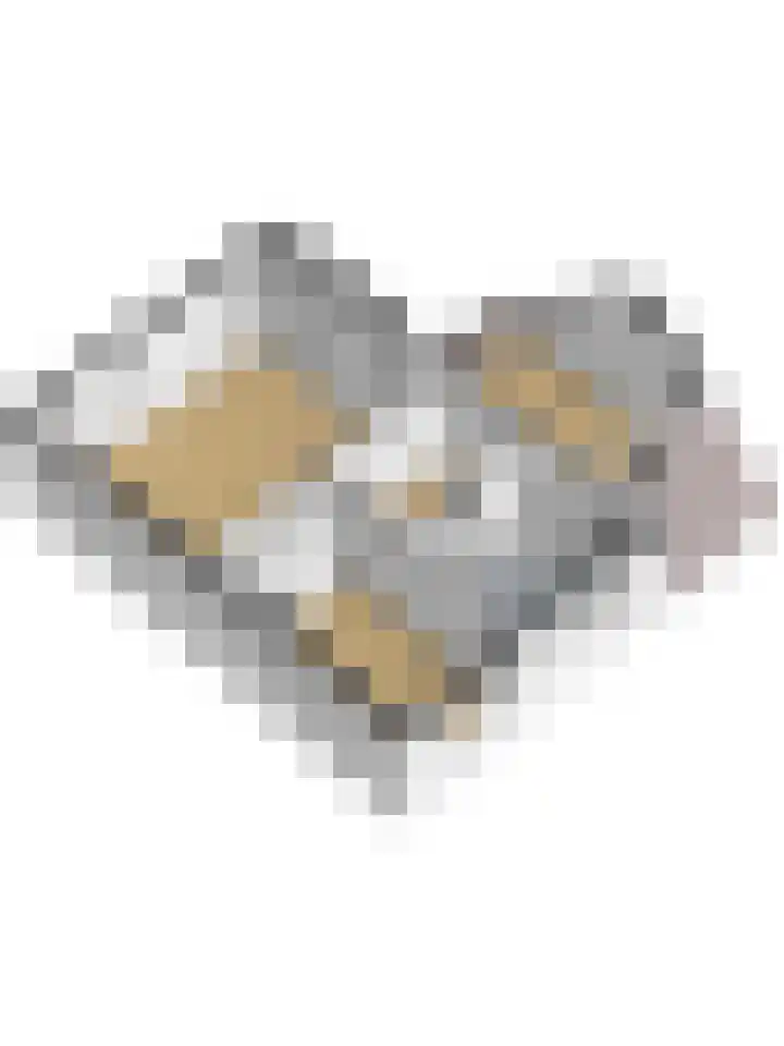 Tollenspark 21 's-Gravenzande thumbnail 34