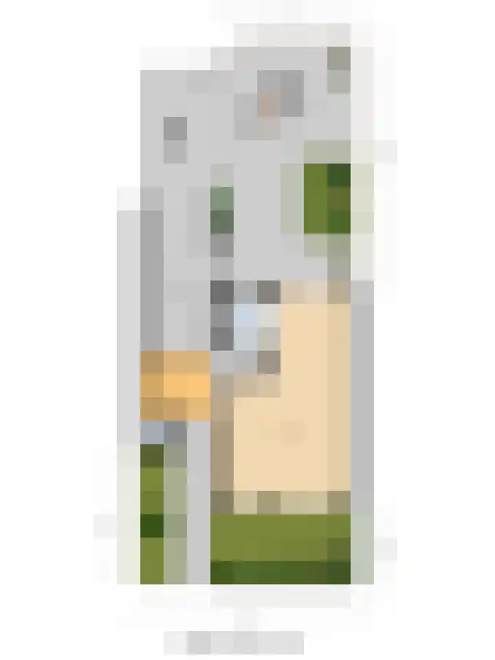 Tollenspark 21 's-Gravenzande thumbnail 37