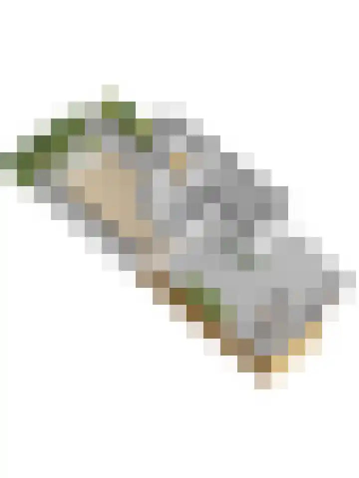 Tollenspark 21 's-Gravenzande thumbnail 38