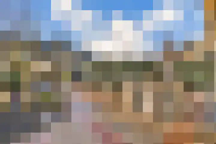 Tollenspark 31 's-Gravenzande thumbnail 17