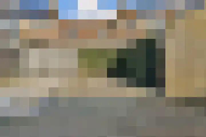 Tollenspark 31 's-Gravenzande thumbnail 20