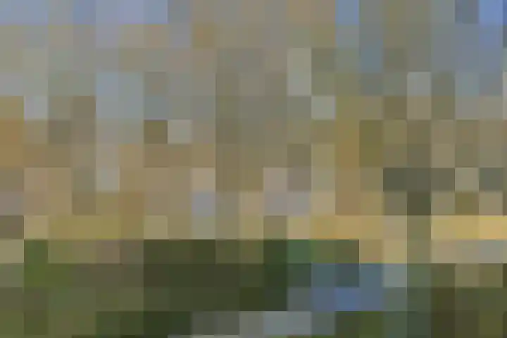 Tollenspark 31 's-Gravenzande thumbnail 27