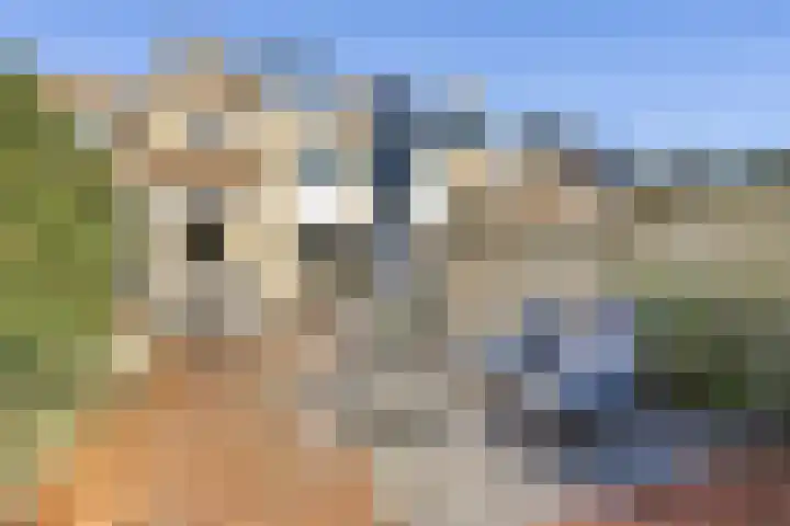 Tollenspark 31 's-Gravenzande thumbnail 4