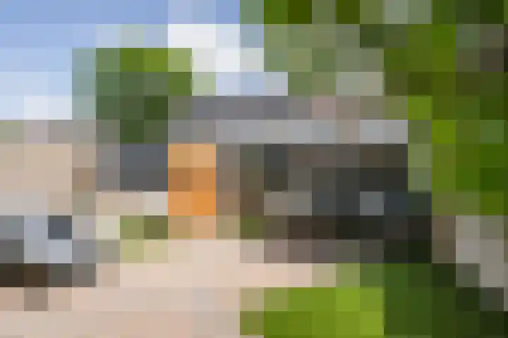 Tollenspark 9 's-Gravenzande thumbnail 14