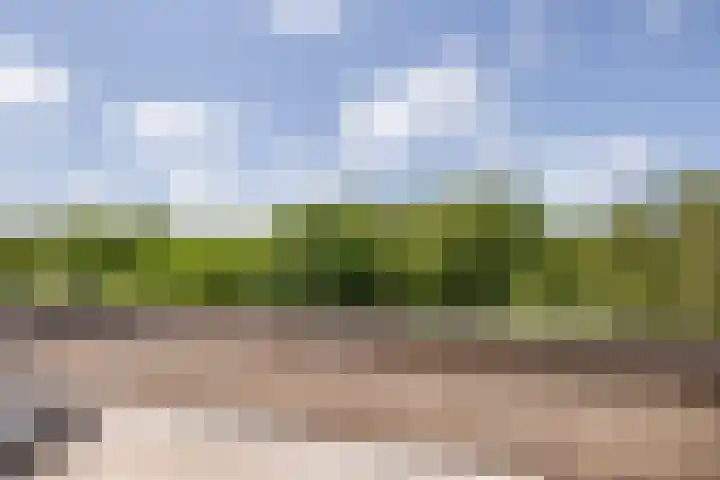Tollenspark 9 's-Gravenzande thumbnail 35