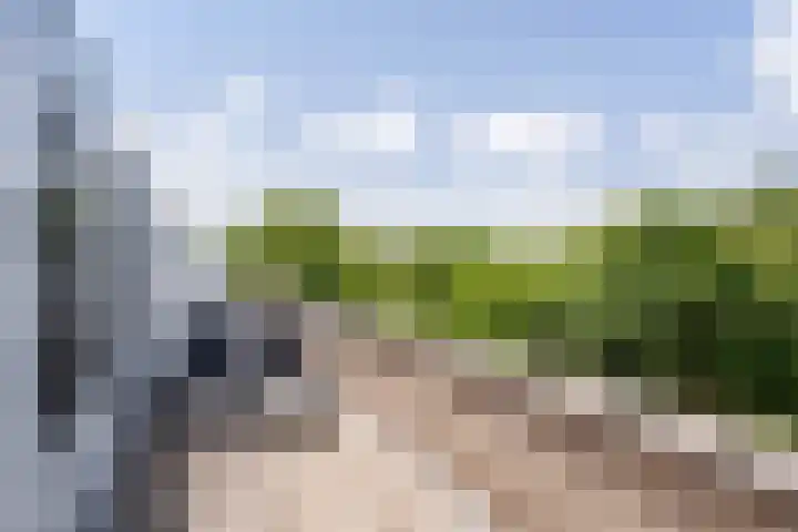 Tollenspark 9 's-Gravenzande thumbnail 36