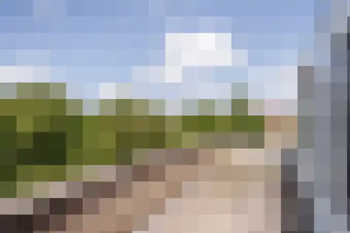 Tollenspark 9 's-Gravenzande thumbnail 37
