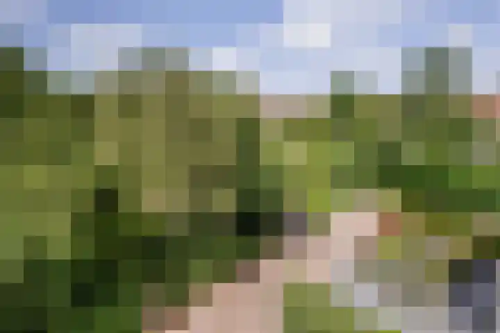 Tollenspark 9 's-Gravenzande thumbnail 38