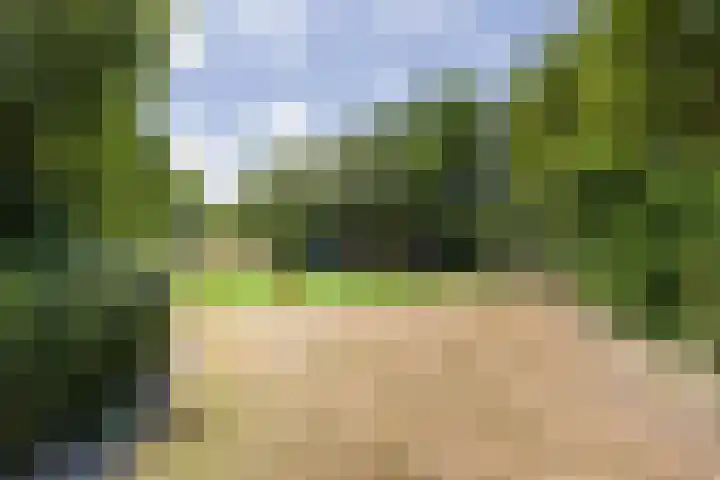 Tollenspark 9 's-Gravenzande thumbnail 41