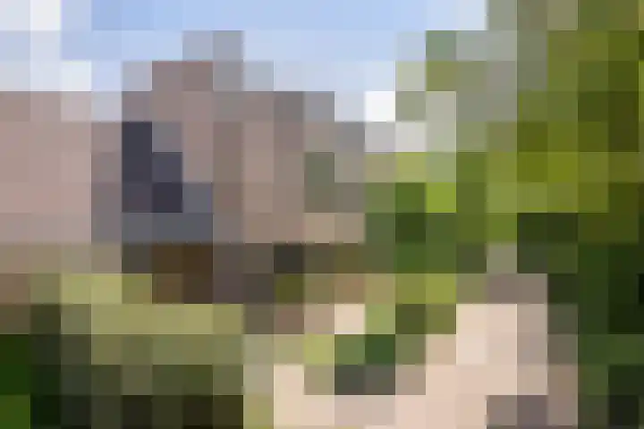 Tollenspark 9 's-Gravenzande thumbnail 42
