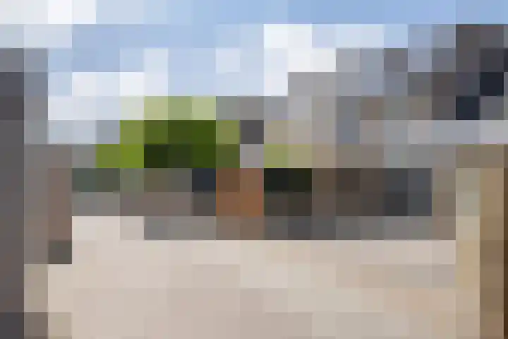 Tollenspark 9 's-Gravenzande thumbnail 45