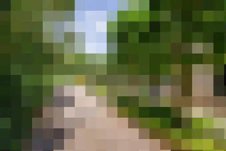 Tollenspark 9 's-Gravenzande thumbnail 46