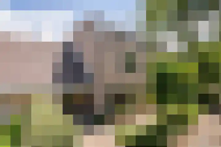 Tollenspark 9 's-Gravenzande thumbnail 51