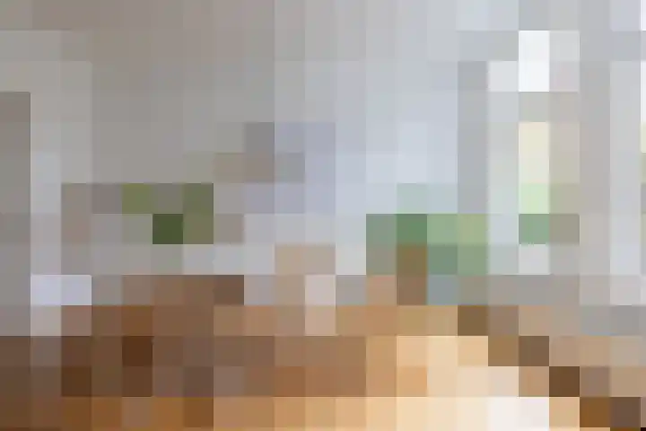 Tollensstraat 106 Rotterdam thumbnail 12