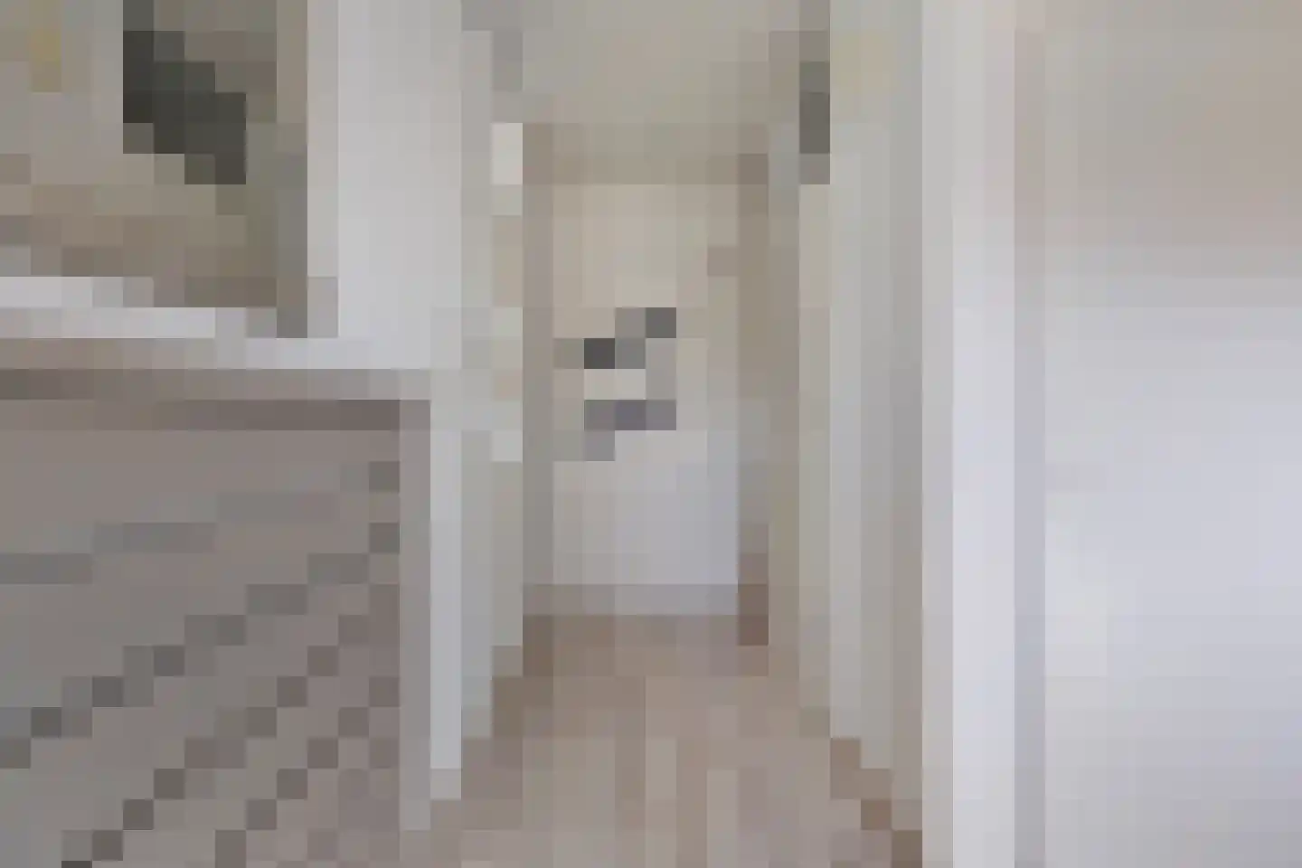 Tollensstraat 117 Oss thumbnail 13