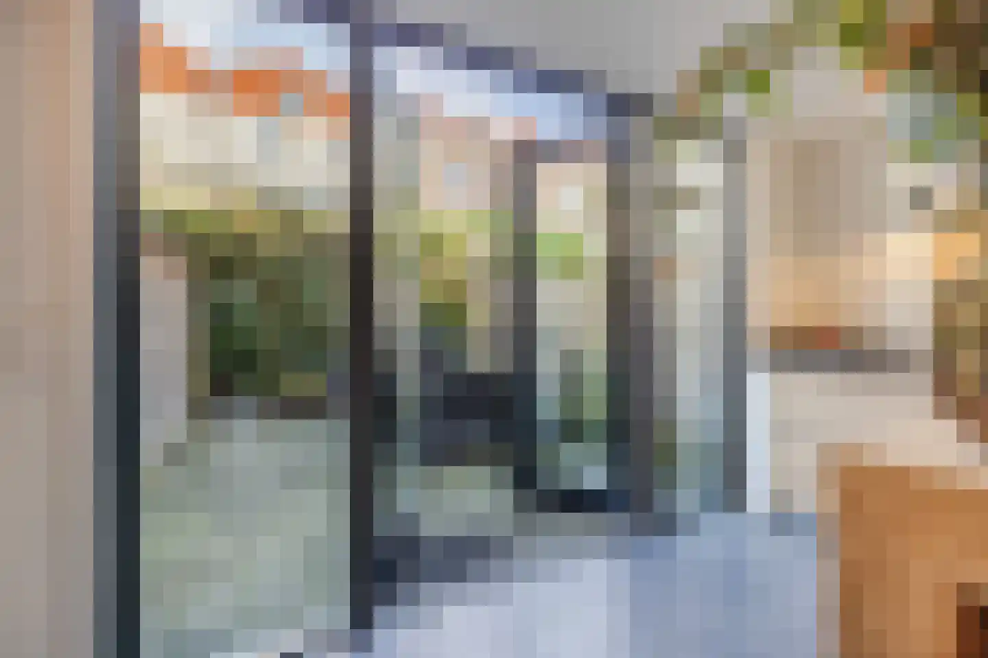 Tollensstraat 119 Den Haag thumbnail 13