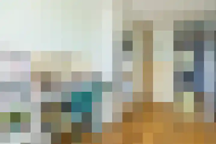 Tollensstraat 124 Oss thumbnail 22