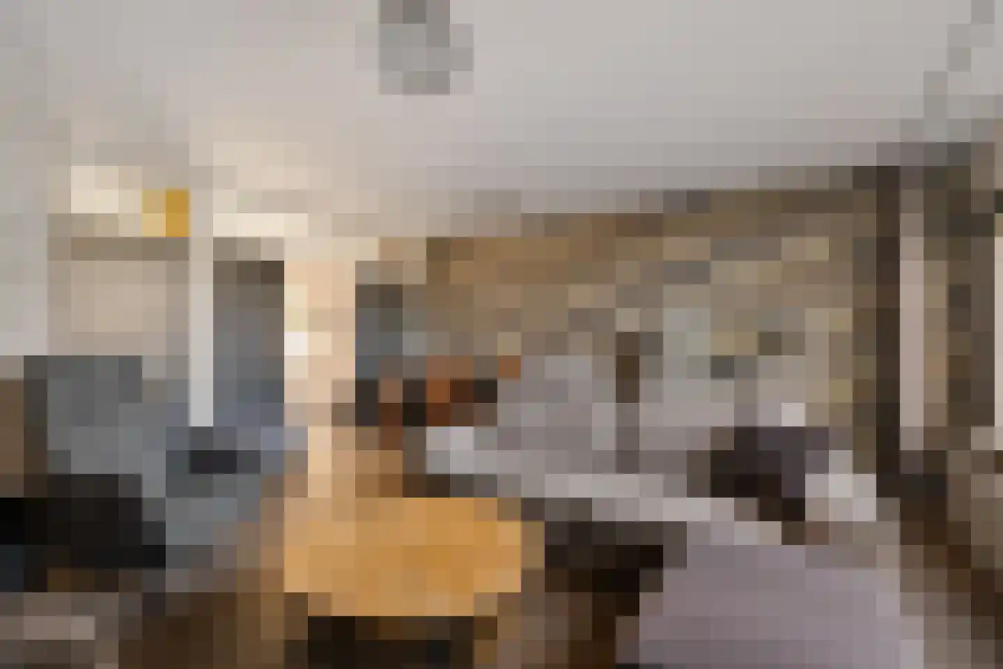 Tollensstraat 16 Oss thumbnail 10