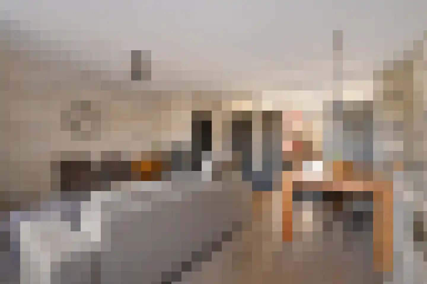 Tollensstraat 16 Oss thumbnail 11