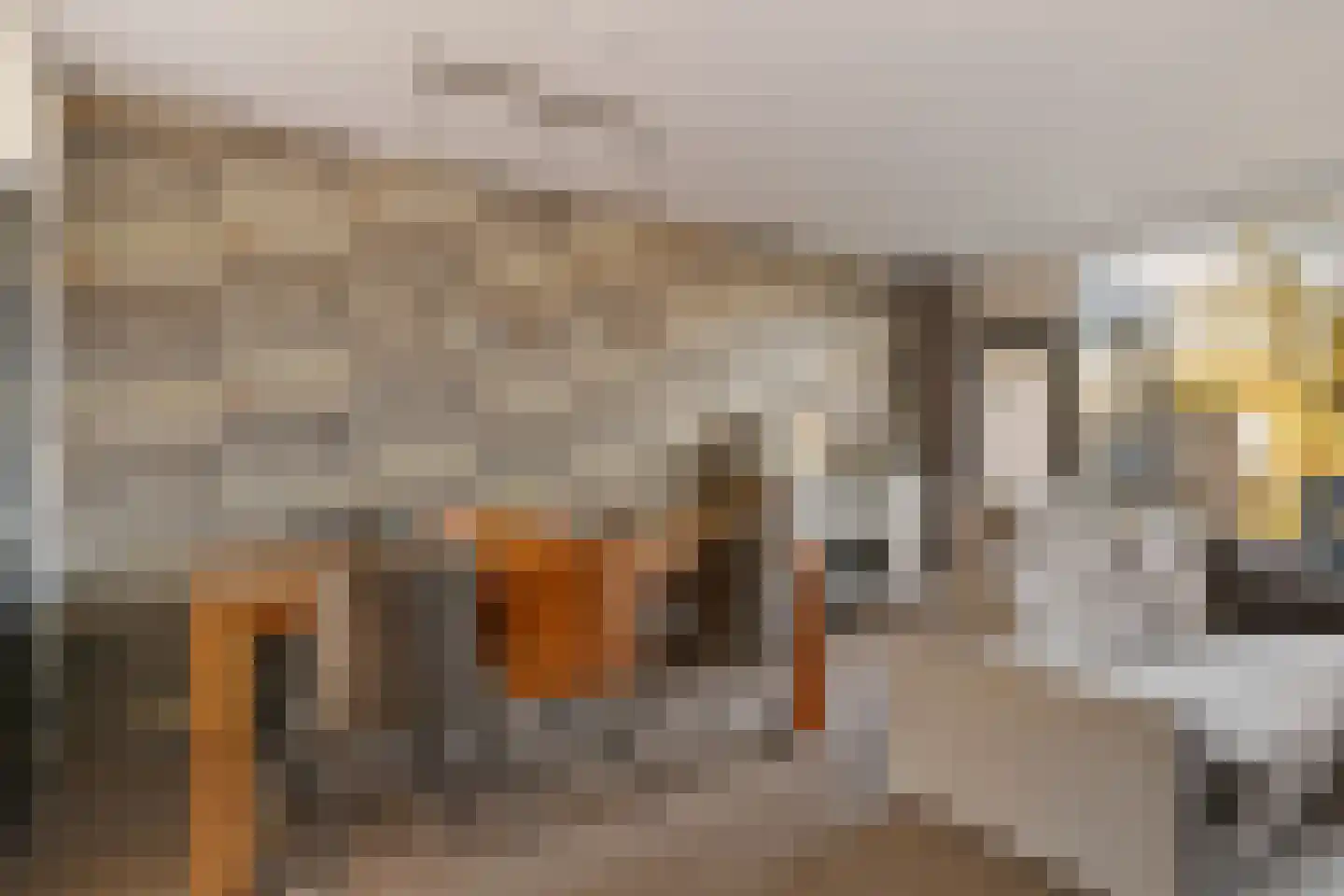 Tollensstraat 16 Oss thumbnail 12
