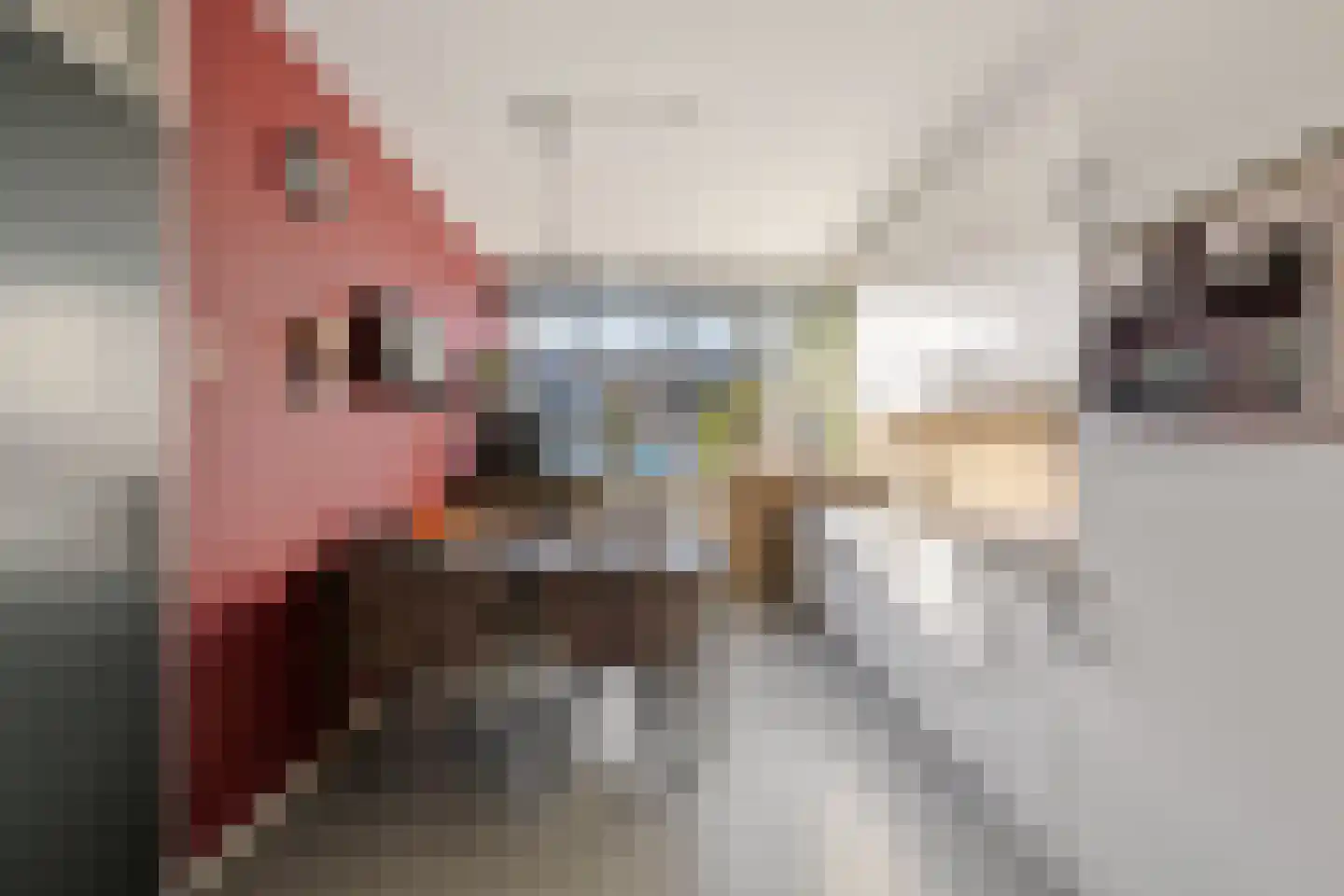 Tollensstraat 16 Oss thumbnail 13