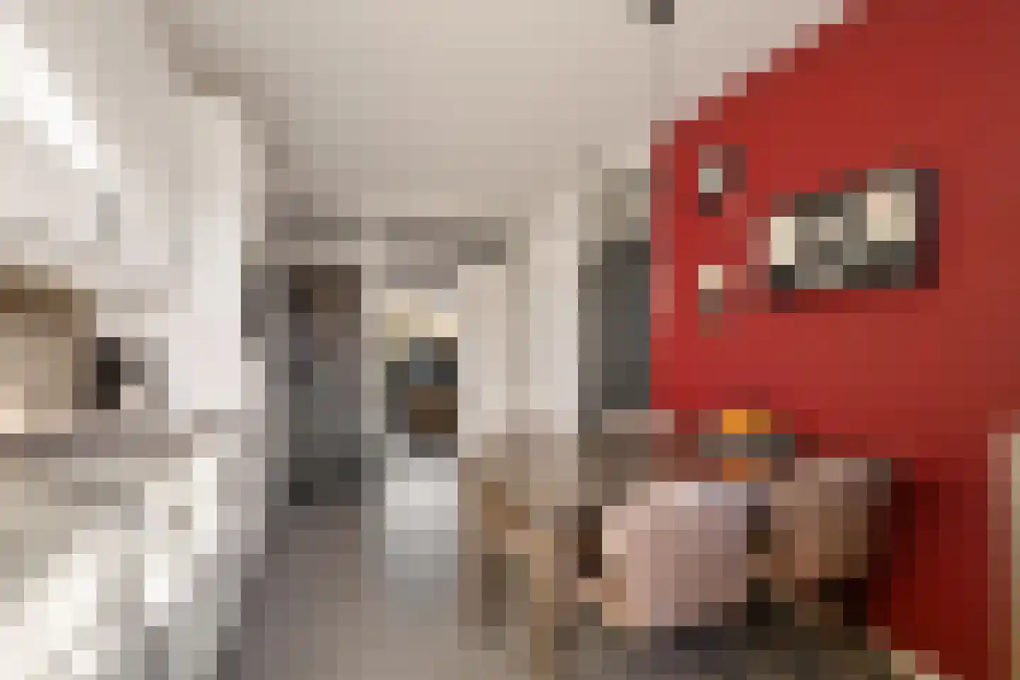 Tollensstraat 16 Oss thumbnail 14