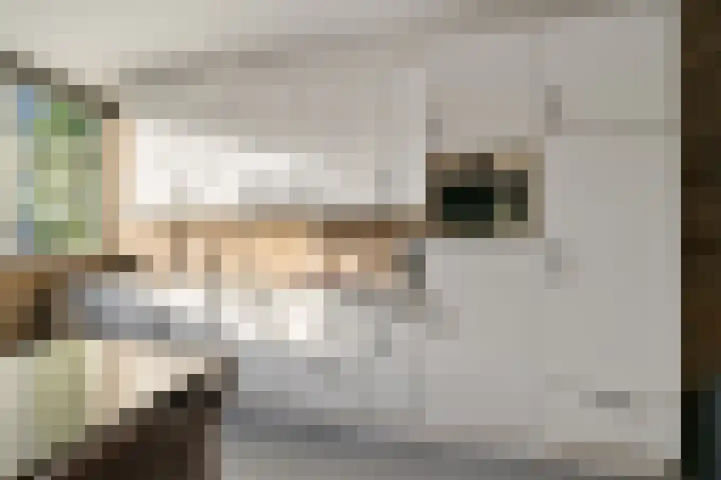 Tollensstraat 16 Oss thumbnail 15